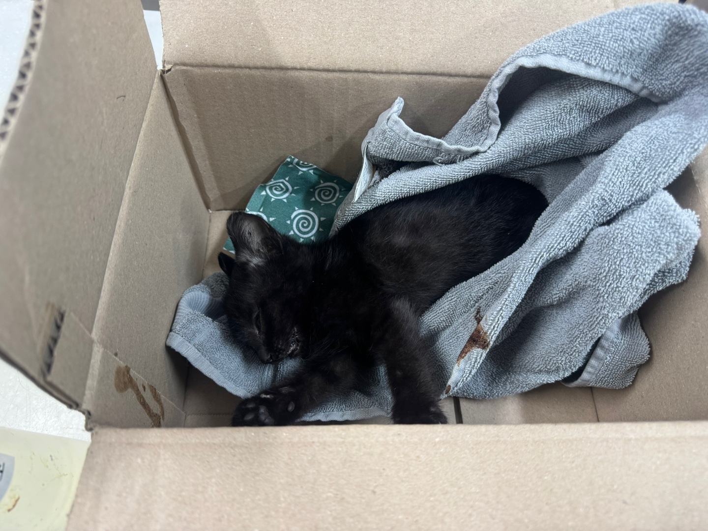 종료(자연사) 한국…