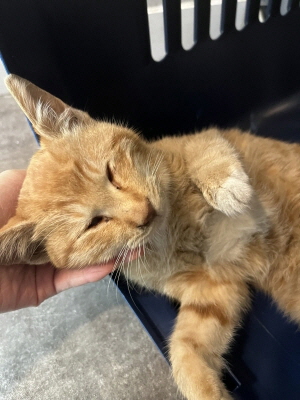 (사)동부동물보호협회_426331202500661