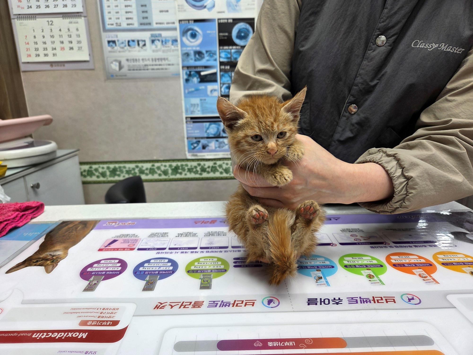 대구시수의사회(보경)_427343202501101