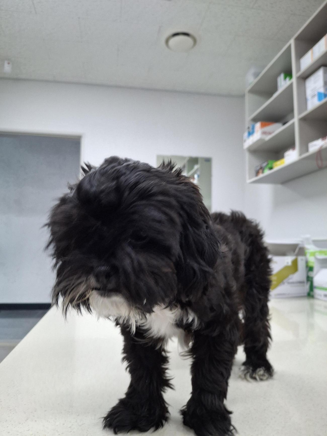 남해군동물보호센터_448543202500201