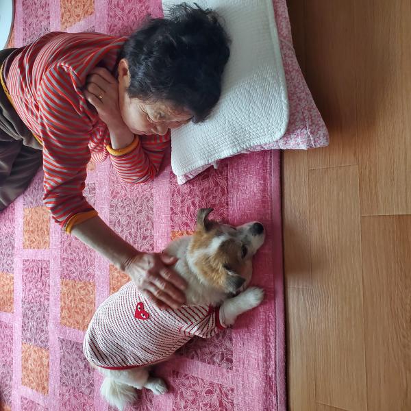 이미지가 없습니다.