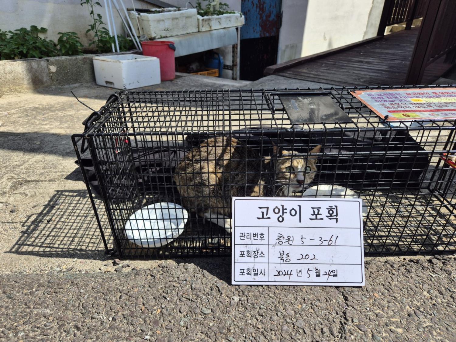 보호중동물사진 공고번호-경남-창원-2024-00584