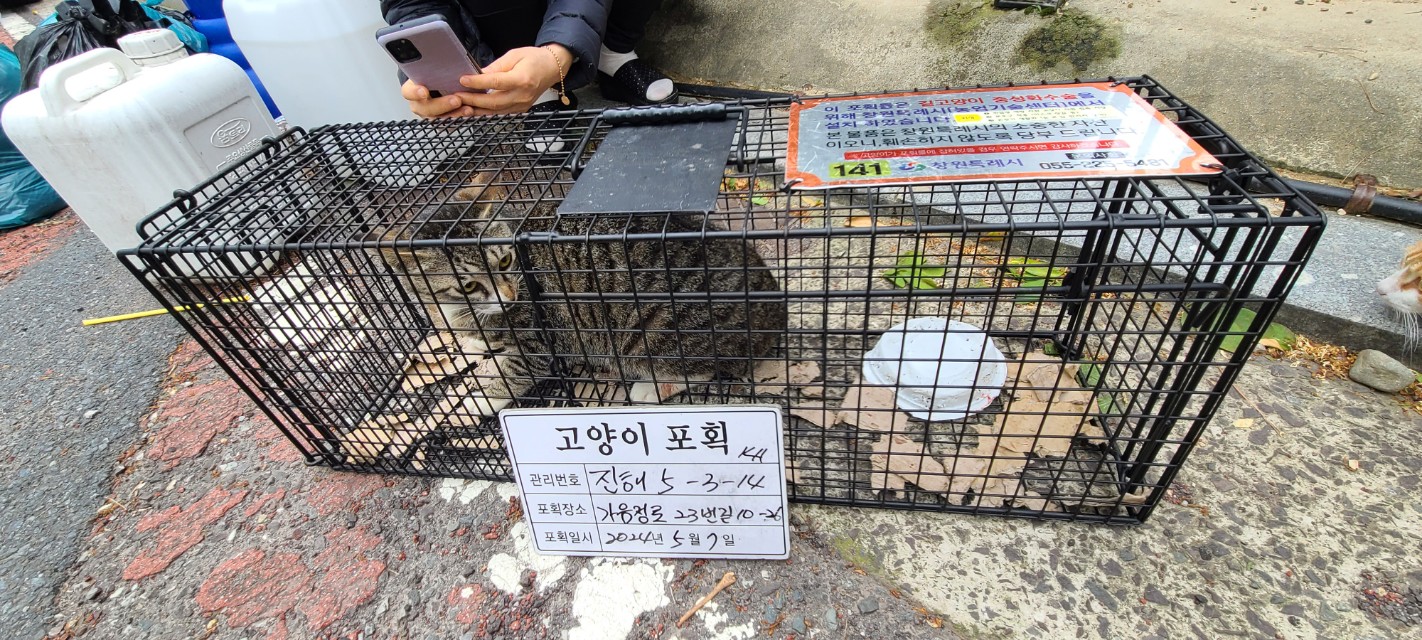 보호중동물사진 공고번호-경남-진해-2024-00281
