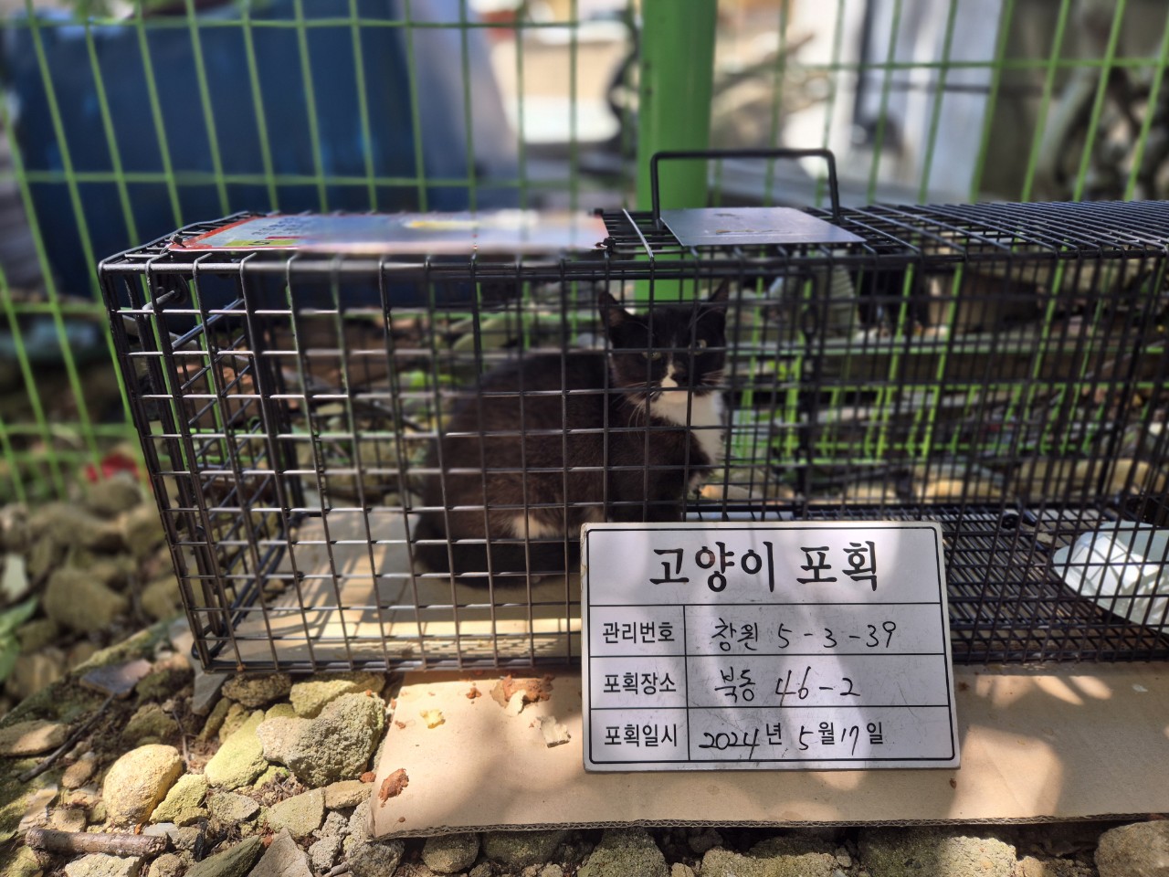 보호중동물사진 공고번호-경남-창원-2024-00543