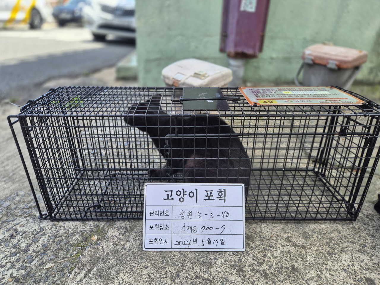 보호중동물사진 공고번호-경남-창원-2024-00544