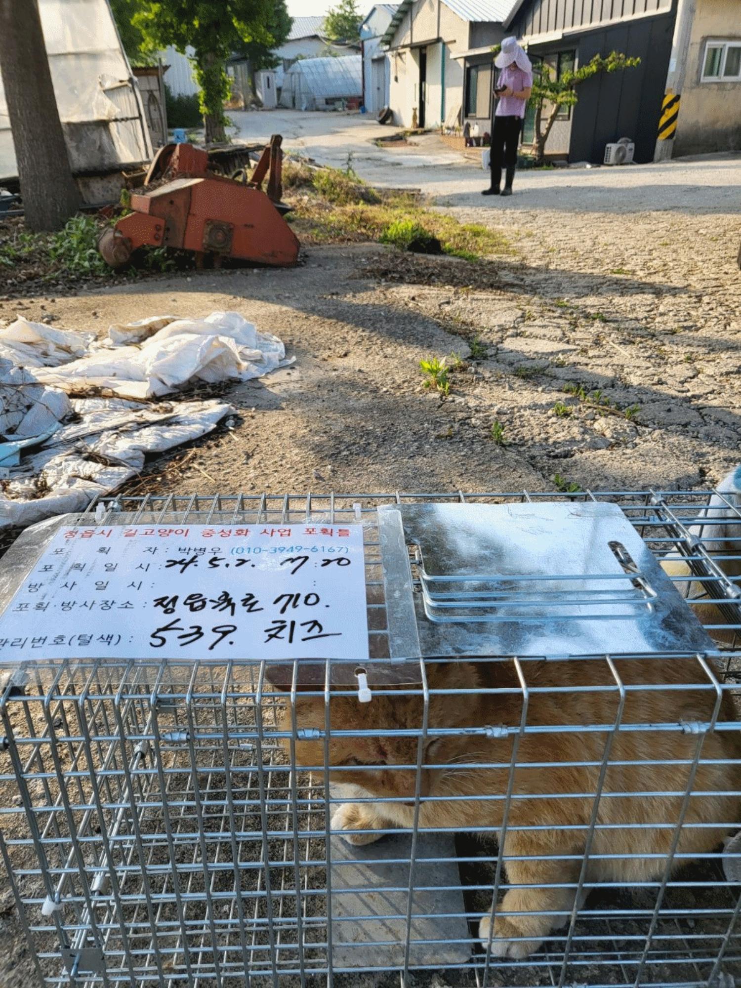 보호중동물사진 공고번호-전북-정읍-2024-00535
