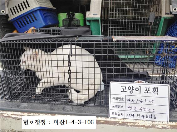 보호중동물사진 공고번호-경남-마산-2024-00579
