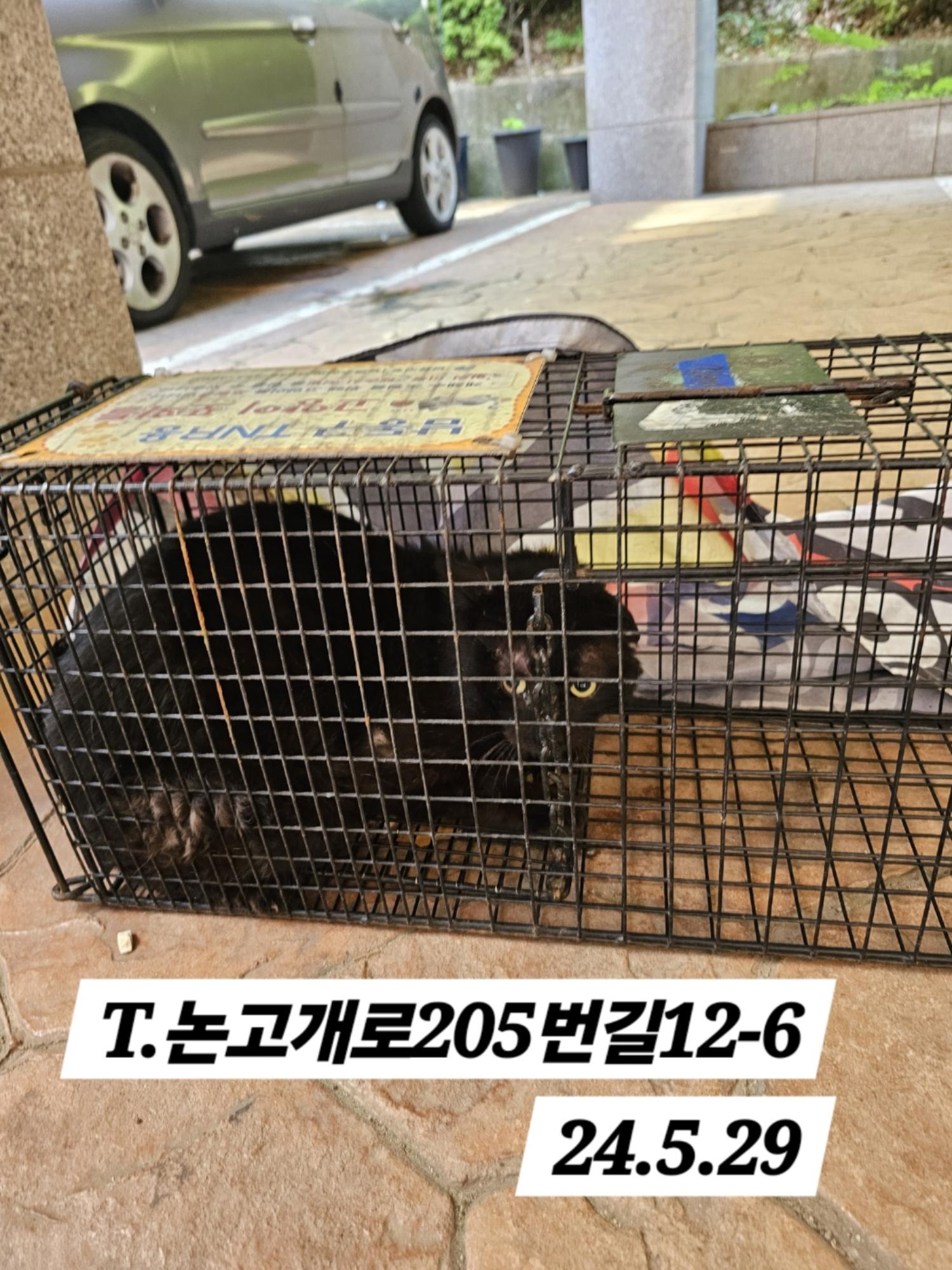 보호중동물사진 공고번호-인천-남동-2024-00330