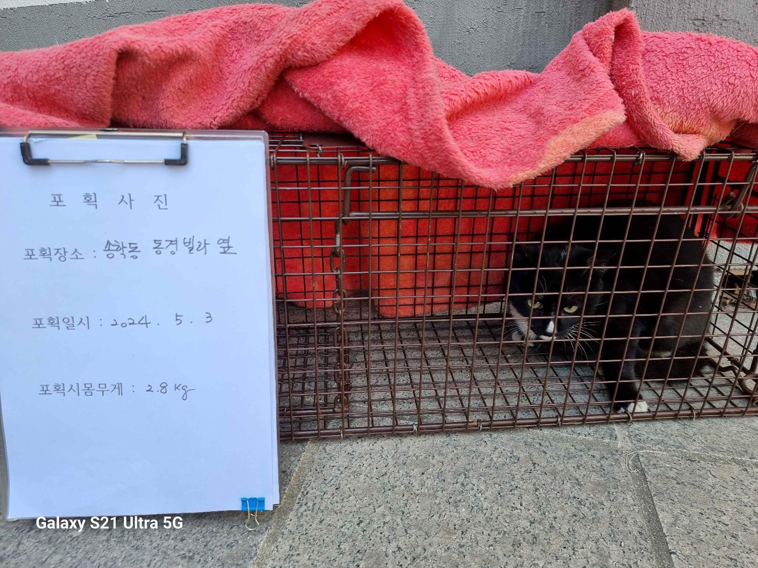 보호중동물사진 공고번호-인천-중구-2024-00149