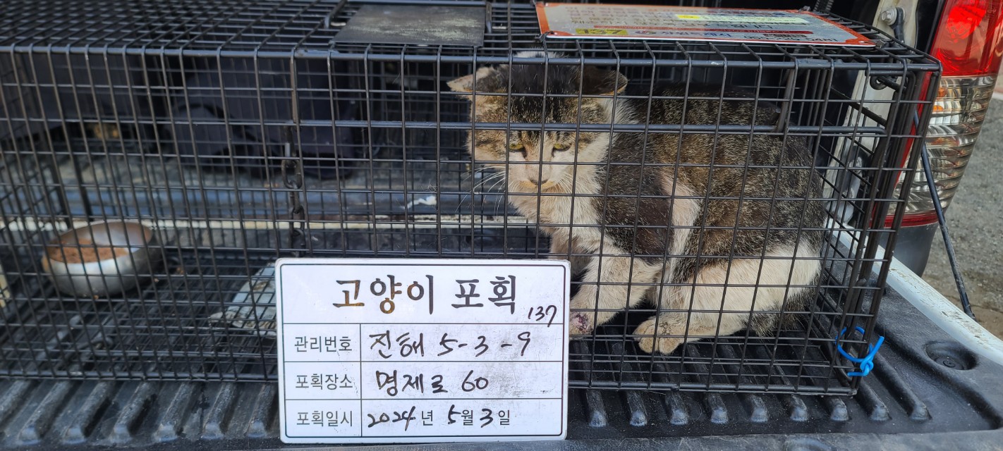 보호중동물사진 공고번호-경남-진해-2024-00276