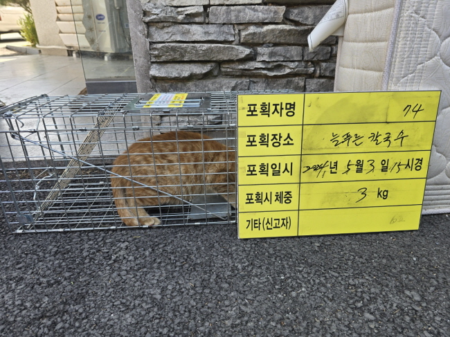 보호중동물사진 공고번호-충북-청주-2024-01085