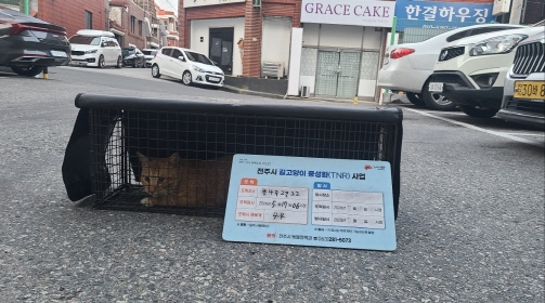 보호중동물사진 공고번호-전북-전주-2024-01122