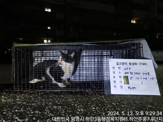 보호중동물사진 공고번호-경기-광명-2024-00295