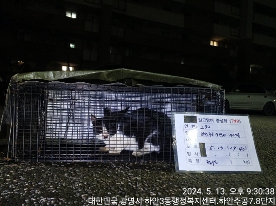 보호중동물사진 공고번호-경기-광명-2024-00294