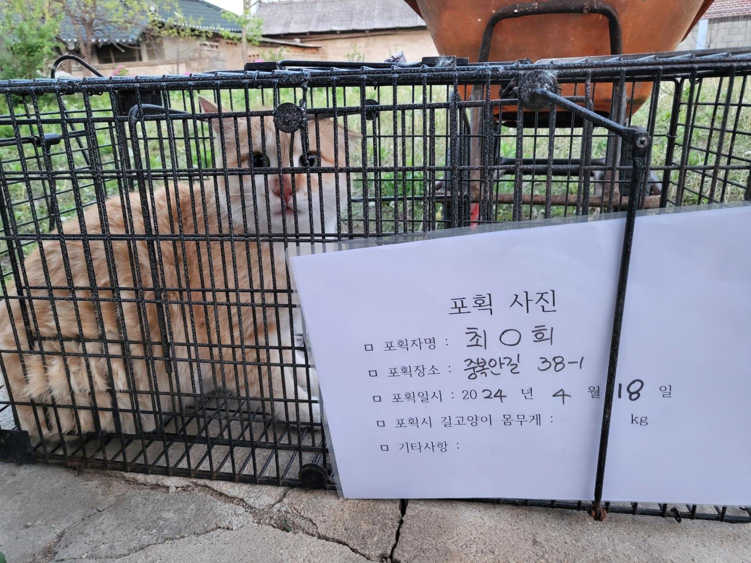 보호중동물사진 공고번호-충북-진천-2024-00118