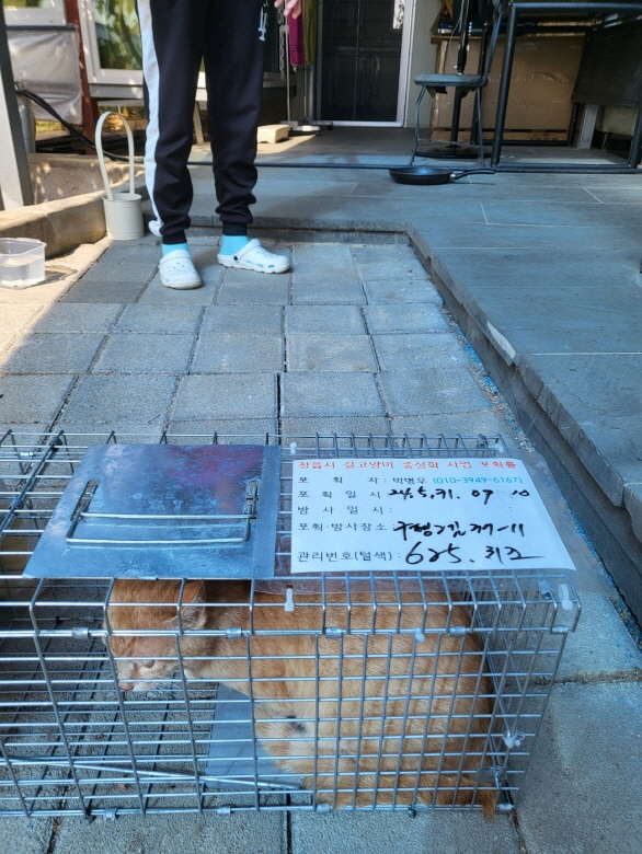 보호중동물사진 공고번호-전북-정읍-2024-00633