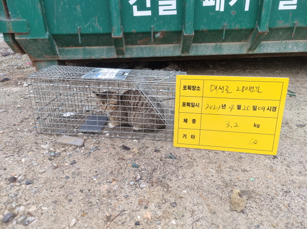 보호중동물사진 공고번호-충북-청주-2024-00920