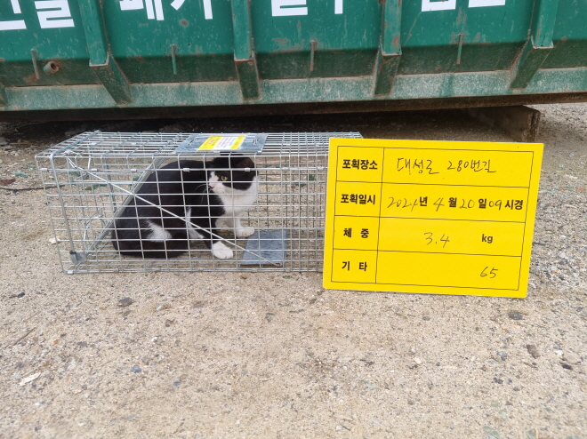보호중동물사진 공고번호-충북-청주-2024-00921