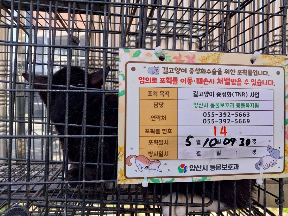 보호중동물사진 공고번호-경남-양산-2024-00208
