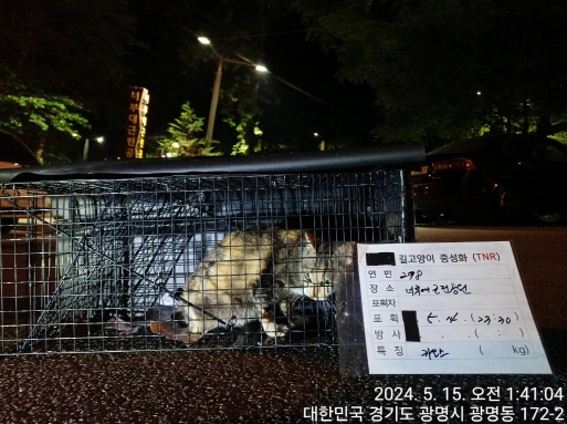 보호중동물사진 공고번호-경기-광명-2024-00300