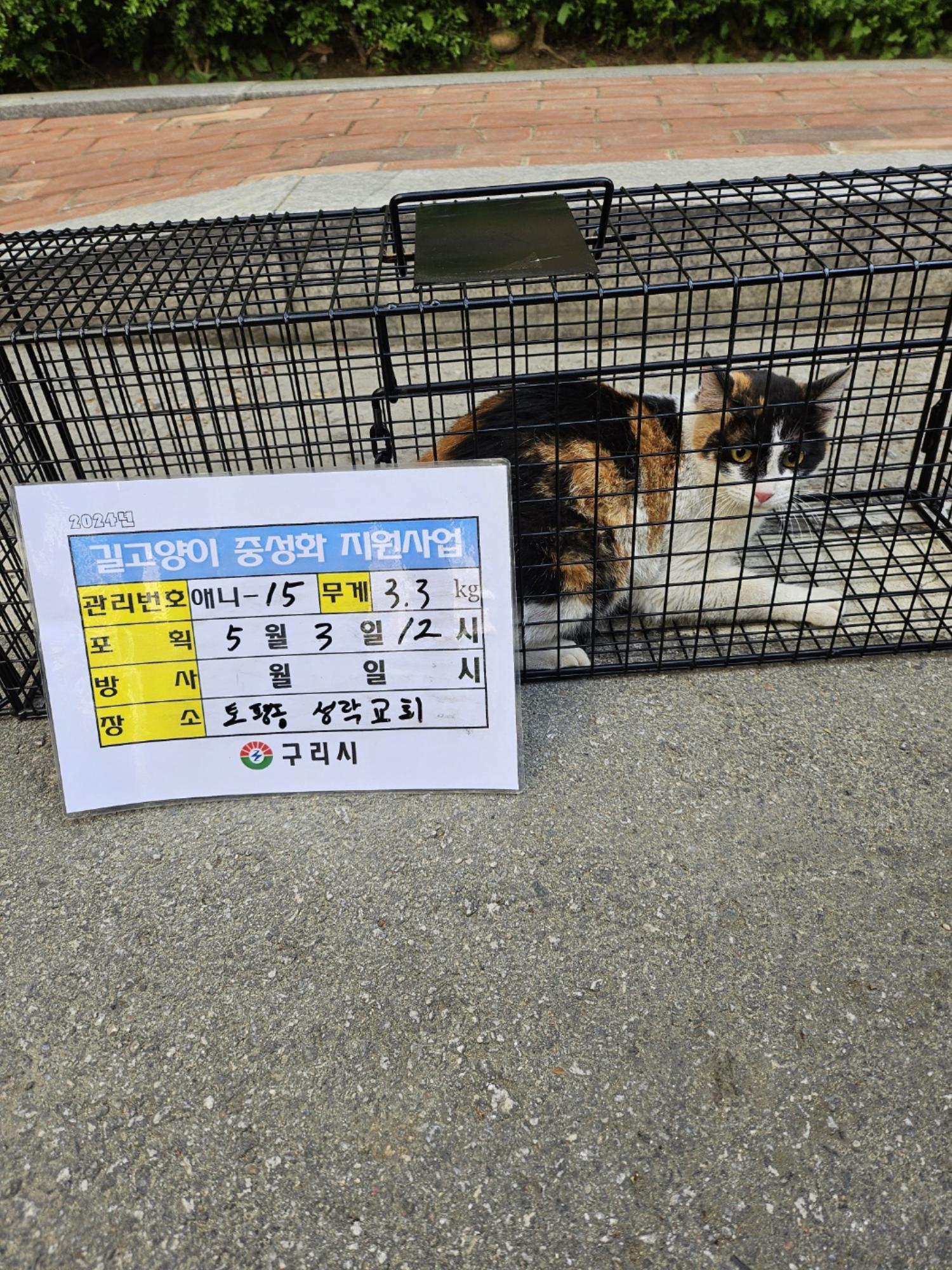 보호중동물사진 공고번호-경기-구리-2024-00115