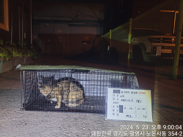 보호중동물사진 공고번호-경기-광명-2024-00324