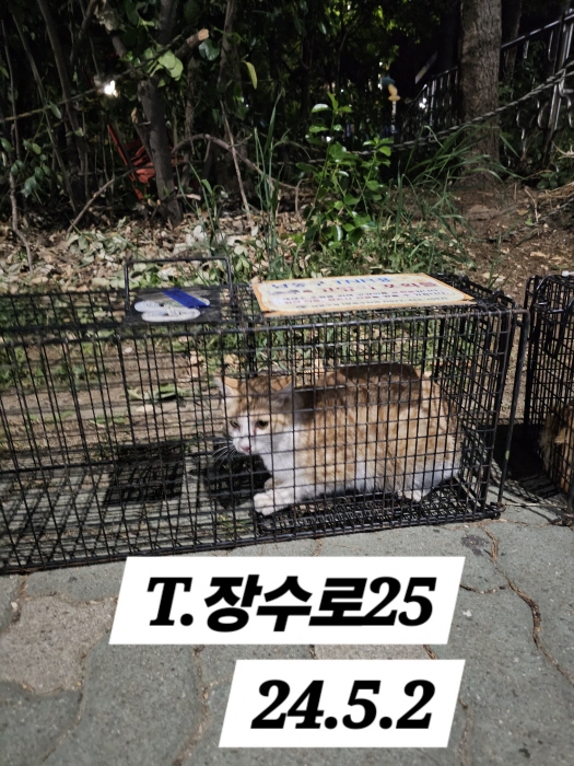 보호중동물사진 공고번호-인천-남동-2024-00264