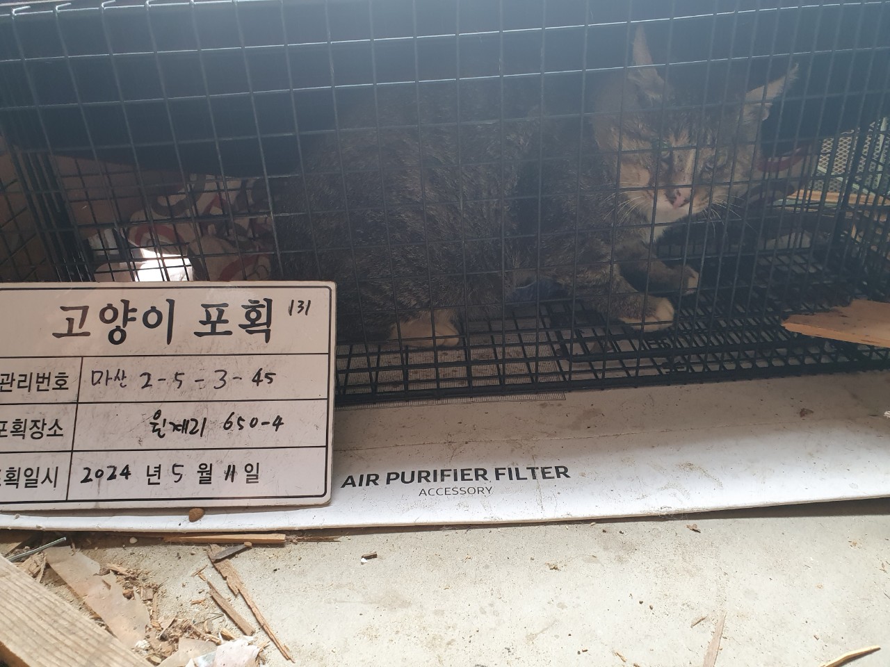 보호중동물사진 공고번호-경남-마산-2024-00689