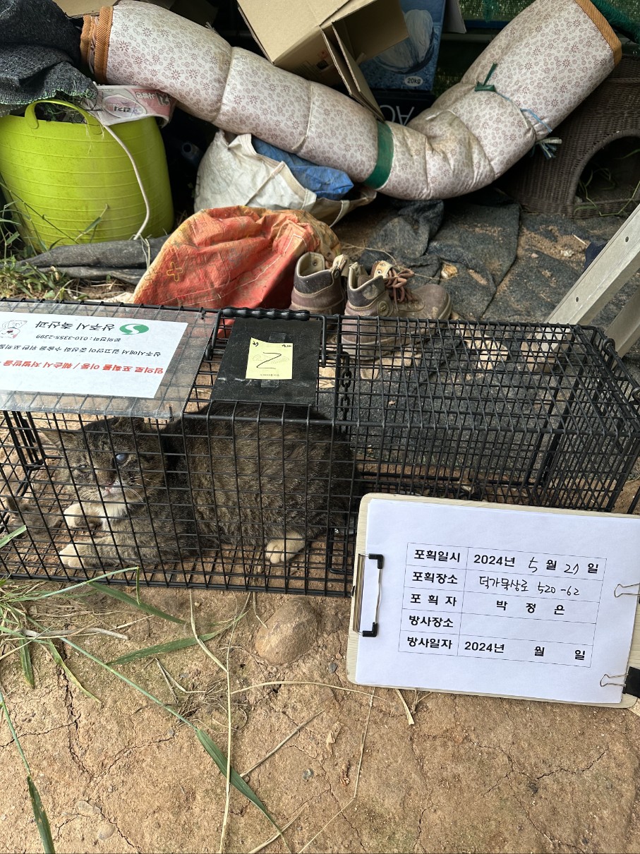 보호중동물사진 공고번호-경북-상주-2024-00577