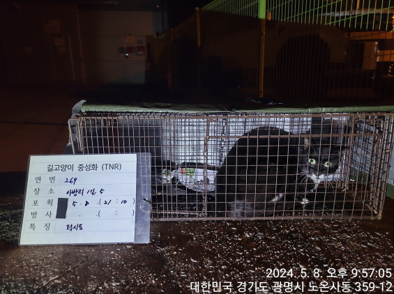 보호중동물사진 공고번호-경기-광명-2024-00271