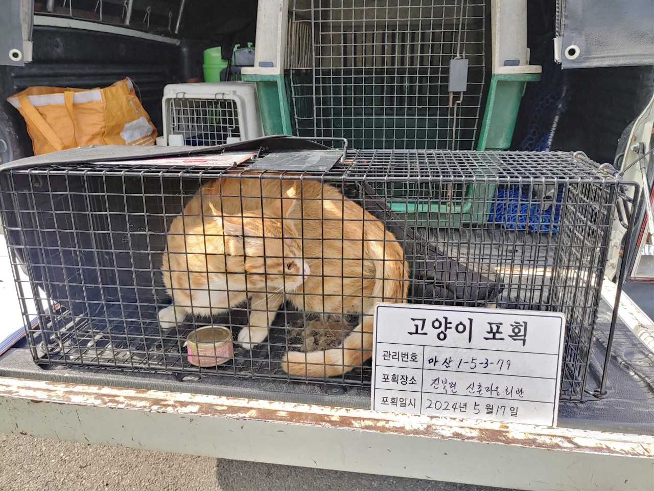 보호중동물사진 공고번호-경남-마산-2024-00773