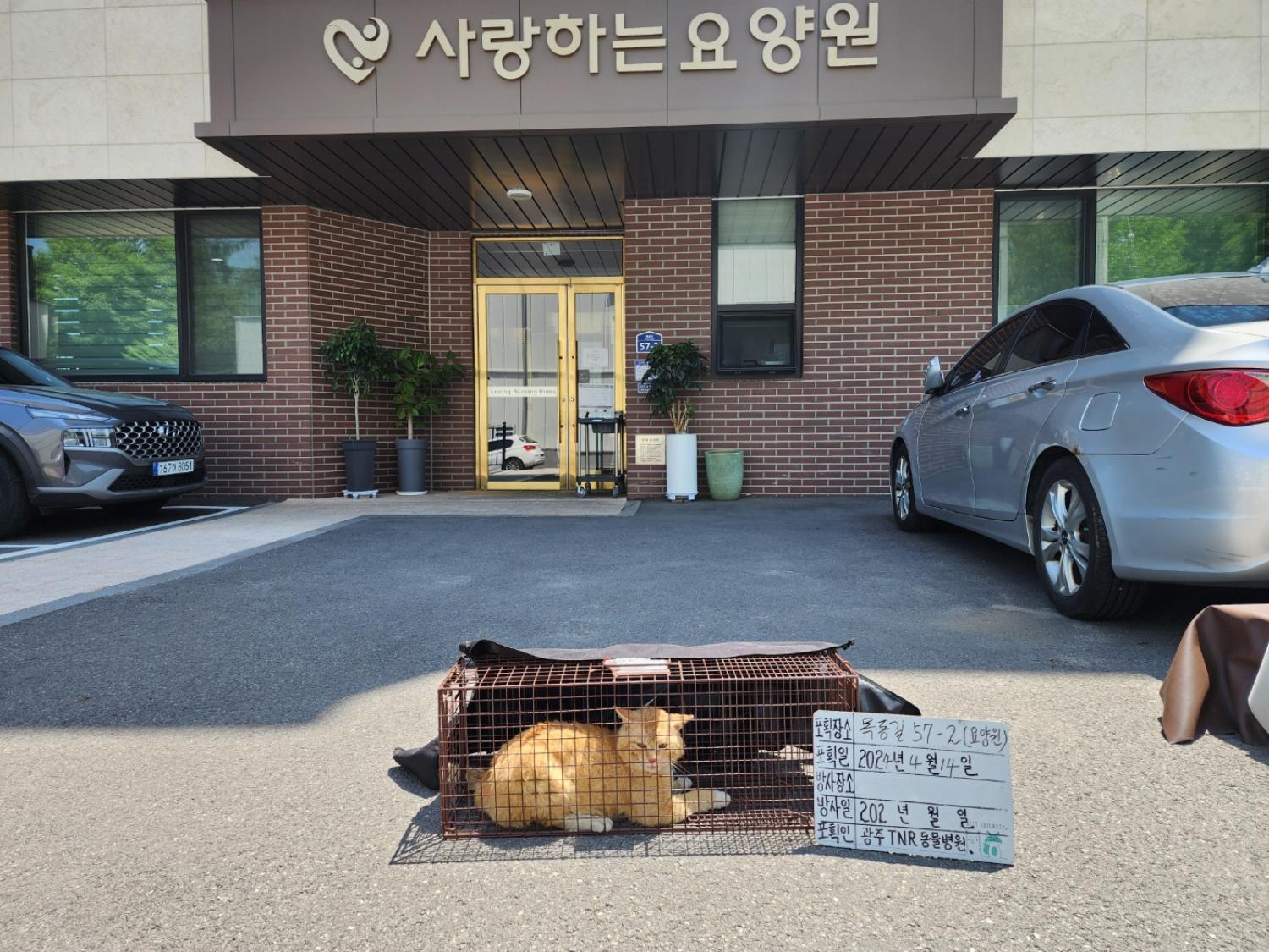 보호중동물사진 공고번호-경기-광주-2024-00758