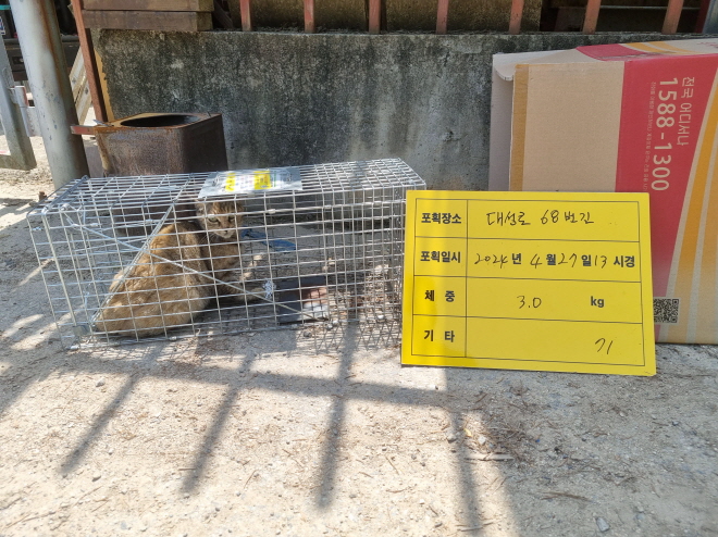 보호중동물사진 공고번호-충북-청주-2024-00997