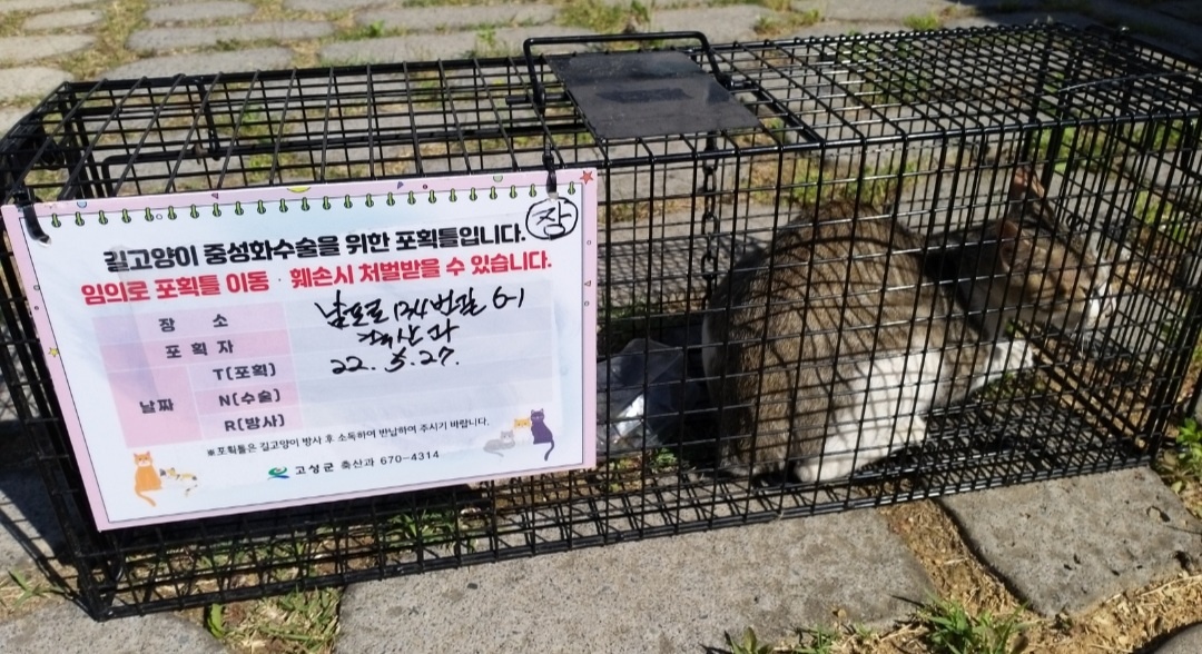 보호중동물사진 공고번호-경남-고성-2022-00436