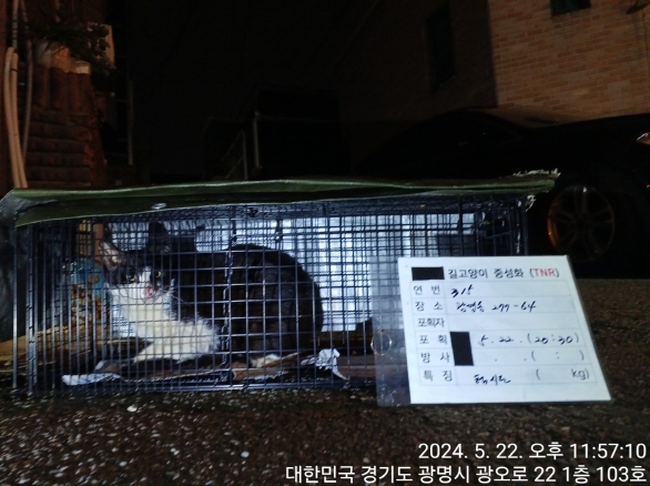 보호중동물사진 공고번호-경기-광명-2024-00317