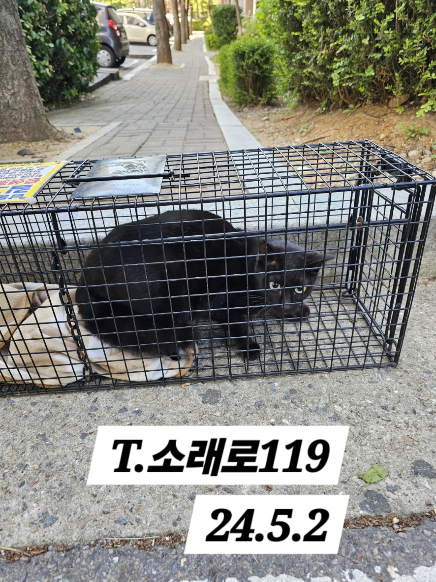 보호중동물사진 공고번호-인천-남동-2024-00265