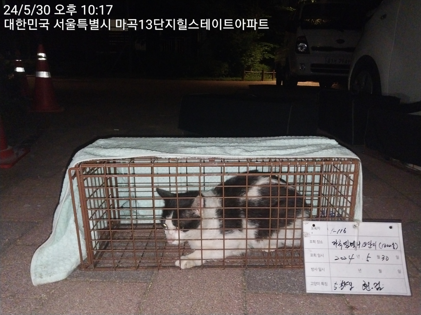 보호중동물사진 공고번호-서울-강서-2024-00212