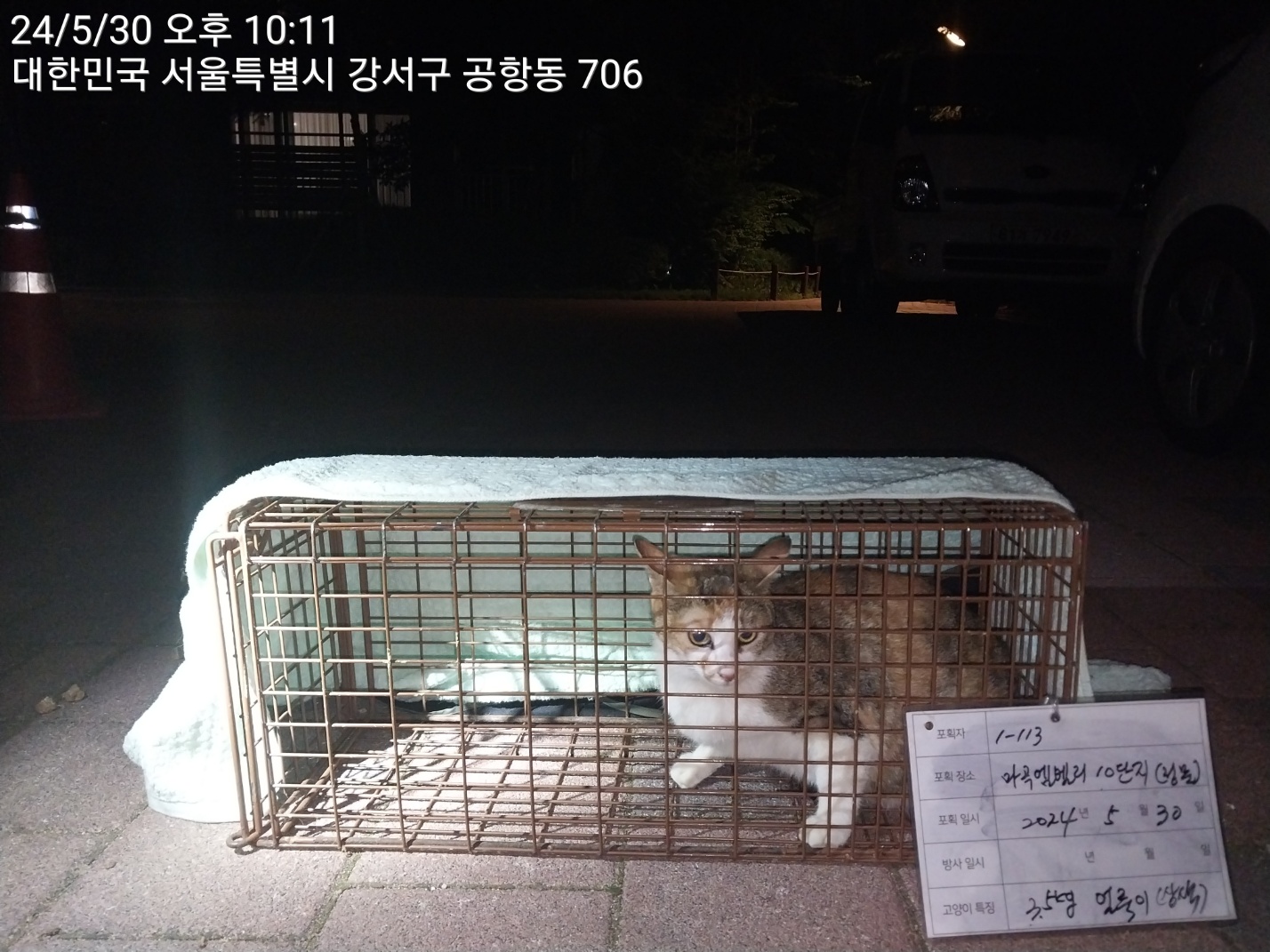 보호중동물사진 공고번호-서울-강서-2024-00209