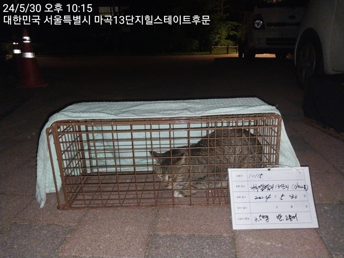 보호중동물사진 공고번호-서울-강서-2024-00211