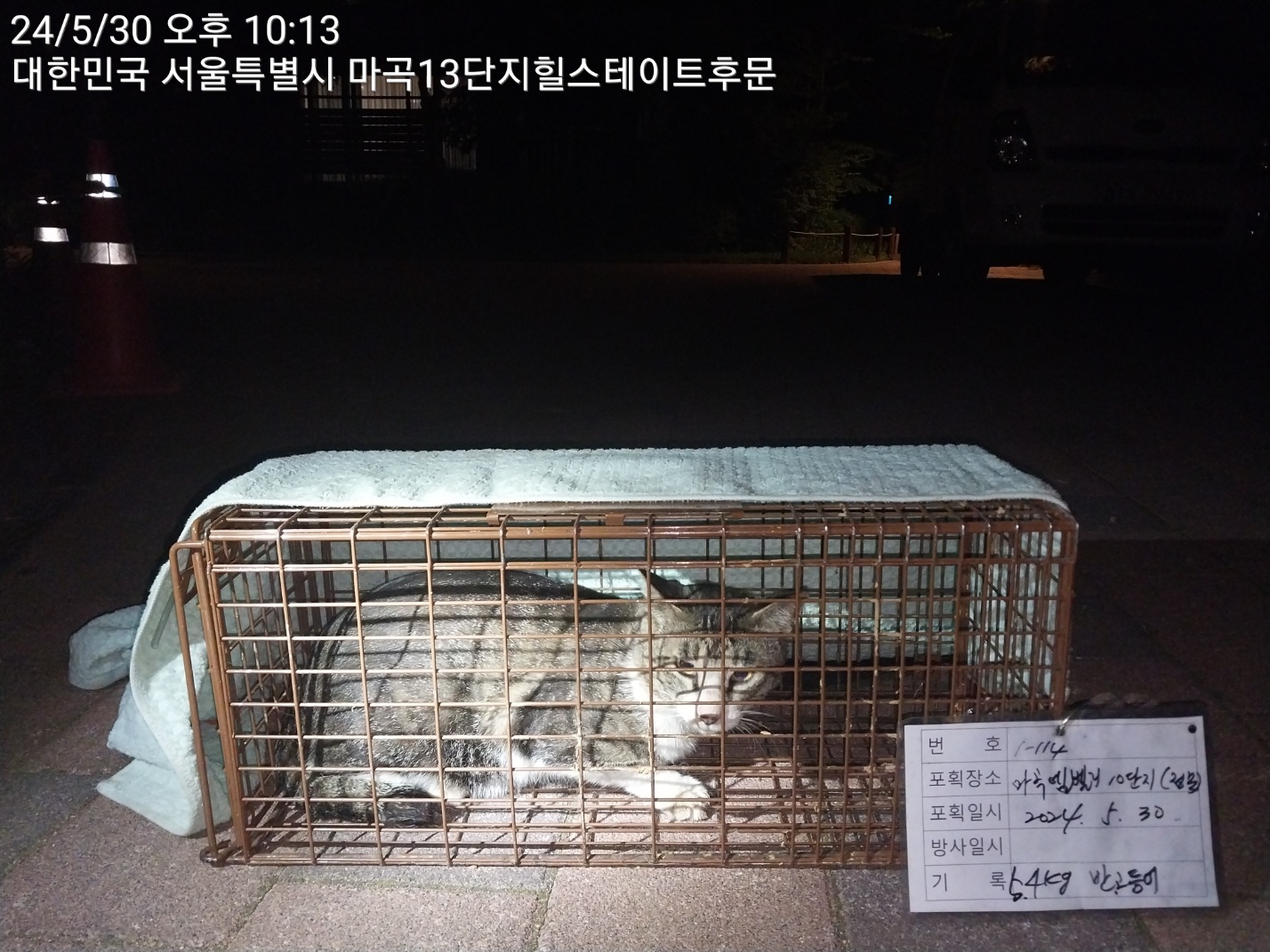 보호중동물사진 공고번호-서울-강서-2024-00210