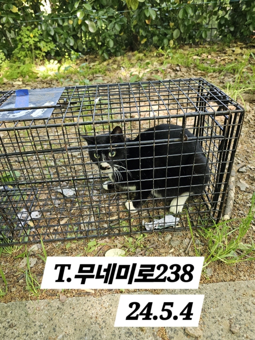 보호중동물사진 공고번호-인천-남동-2024-00278