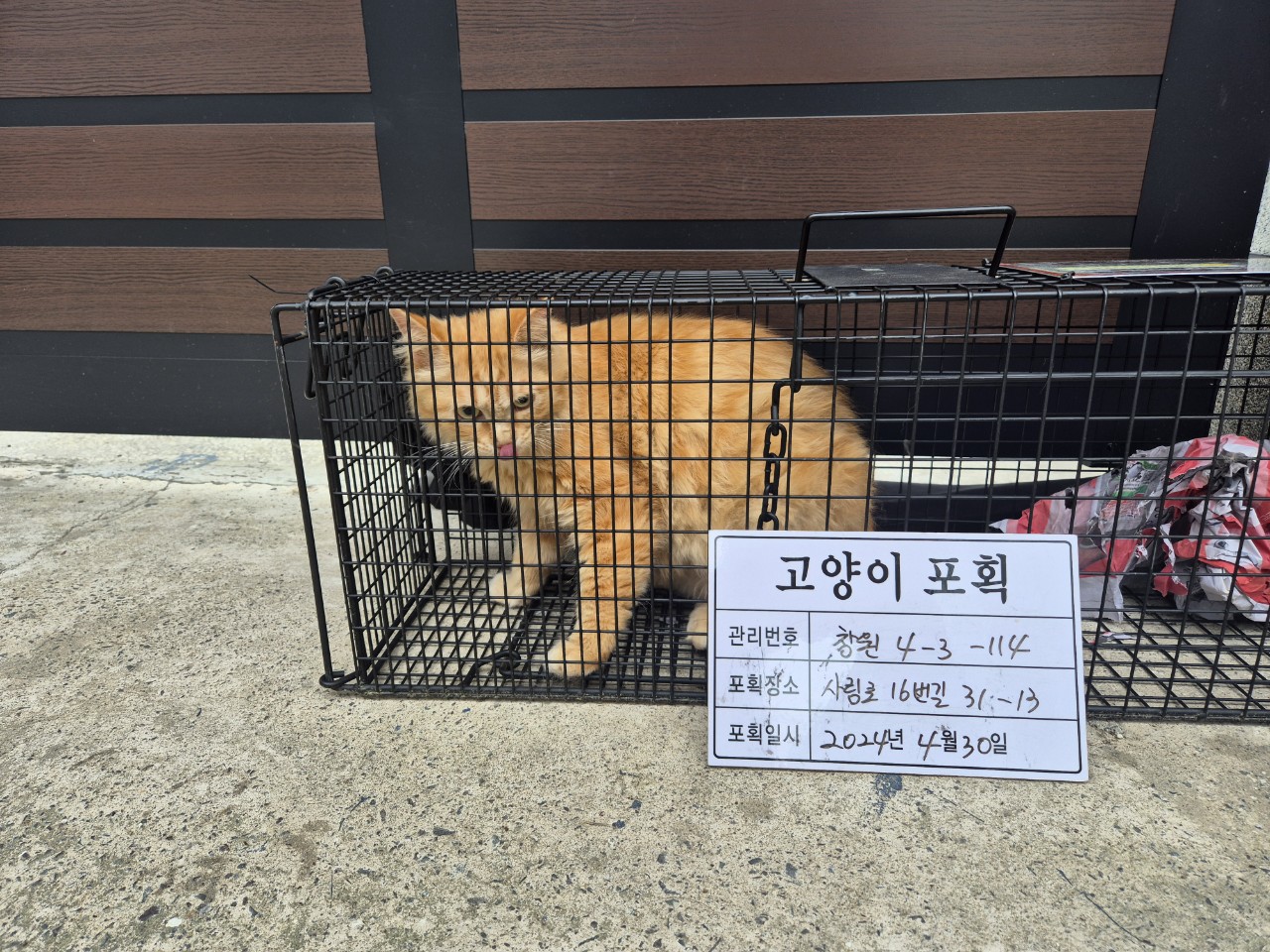 보호중동물사진 공고번호-경남-창원-2024-00474