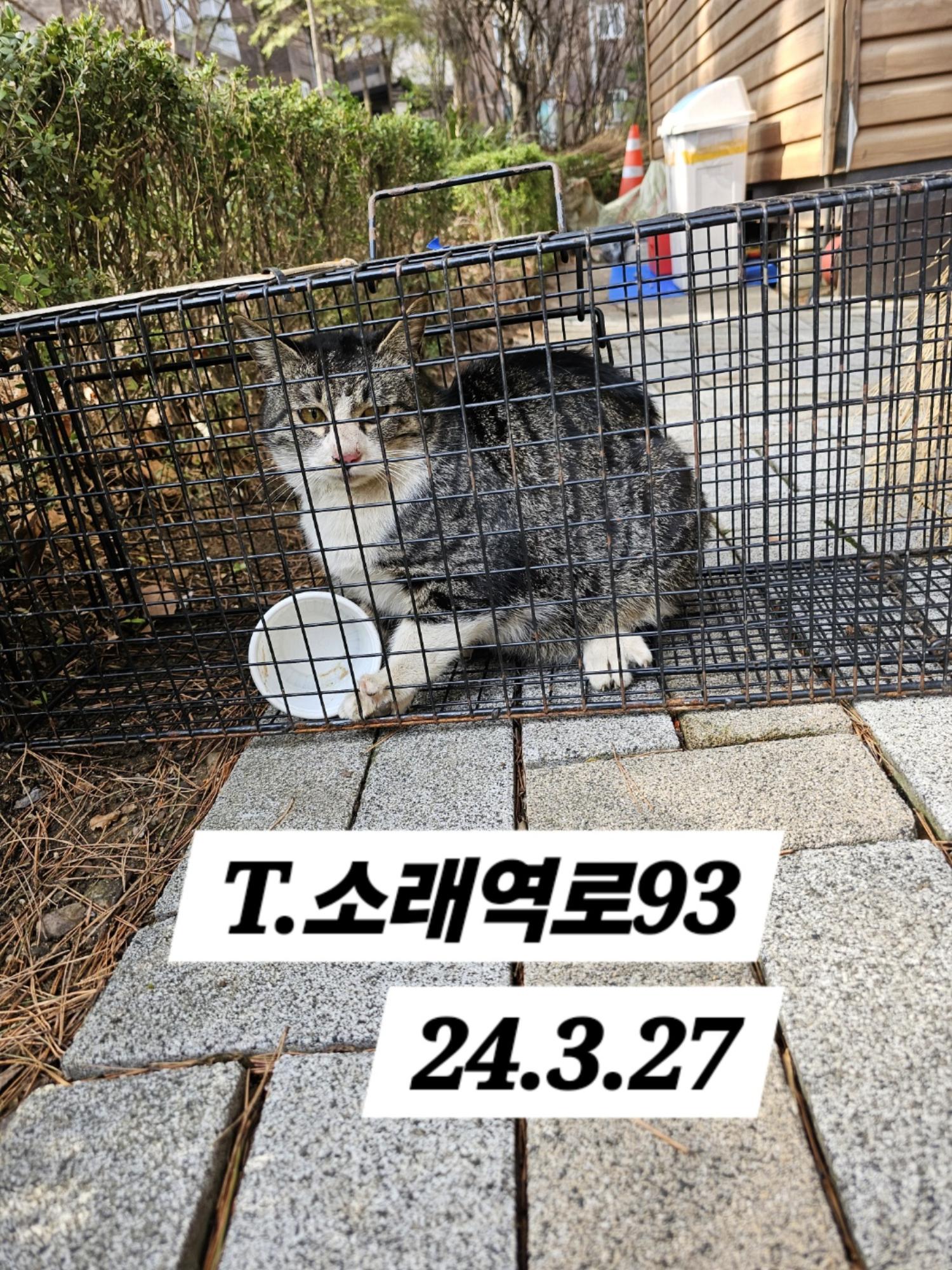 보호중동물사진 공고번호-인천-남동-2024-00107