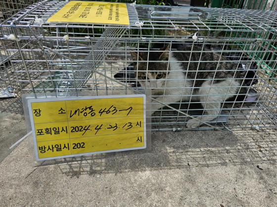 보호중동물사진 공고번호-대구-서구-2024-00126