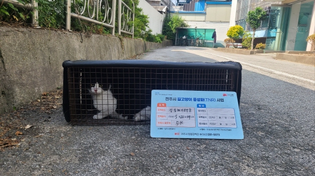 보호중동물사진 공고번호-전북-전주-2024-01139