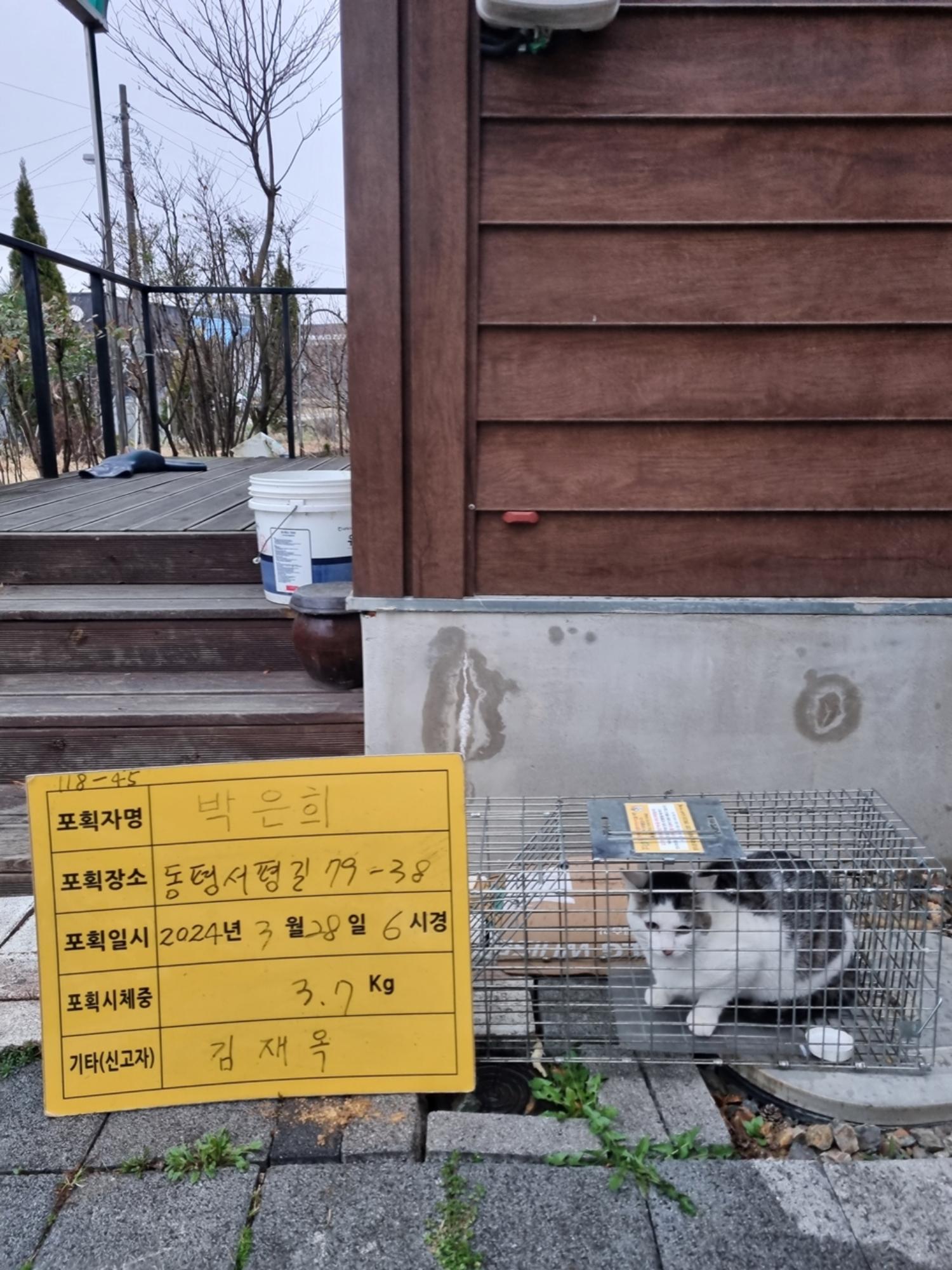 보호중동물사진 공고번호-충북-청주-2024-00394