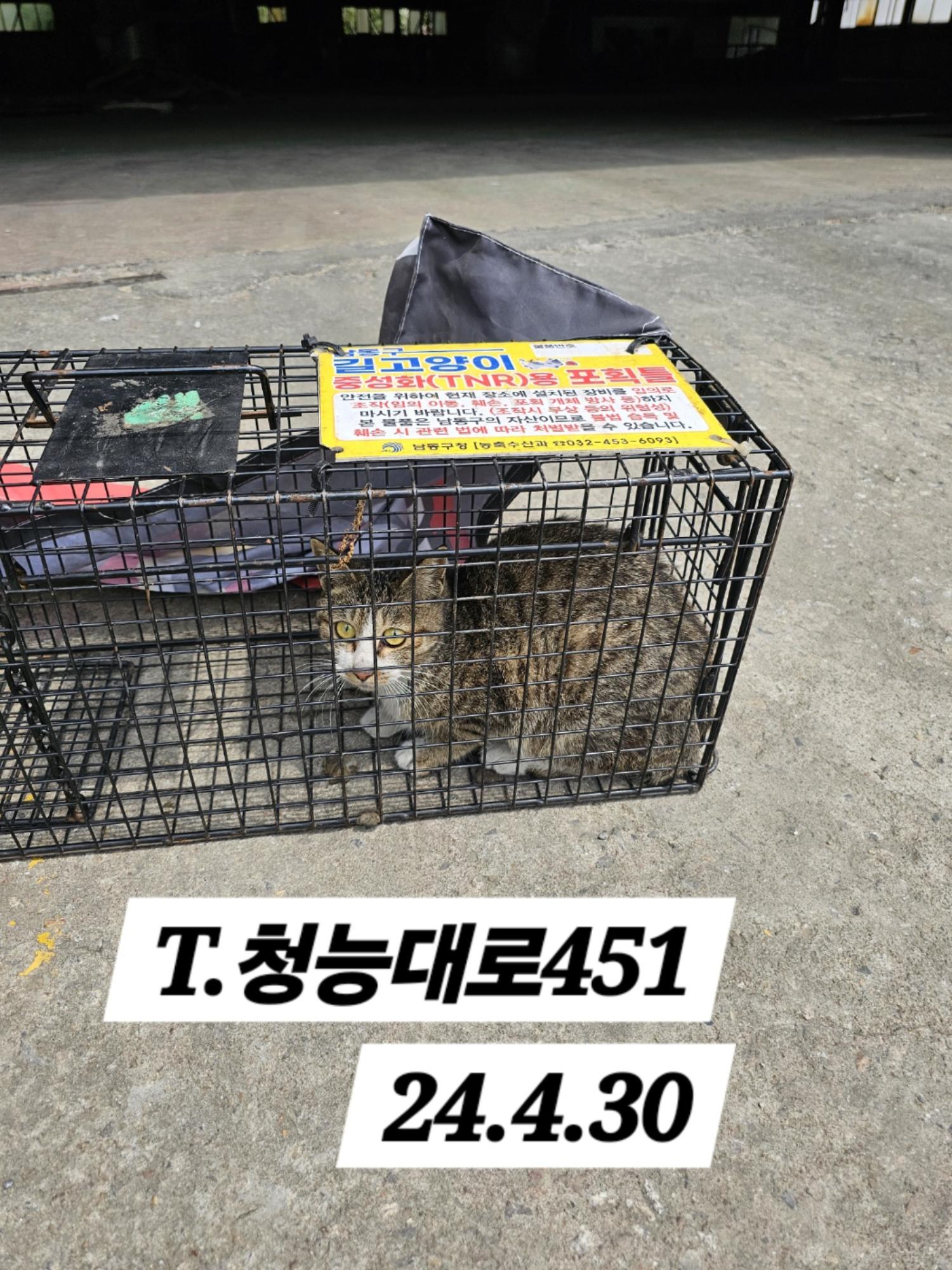 보호중동물사진 공고번호-인천-남동-2024-00254