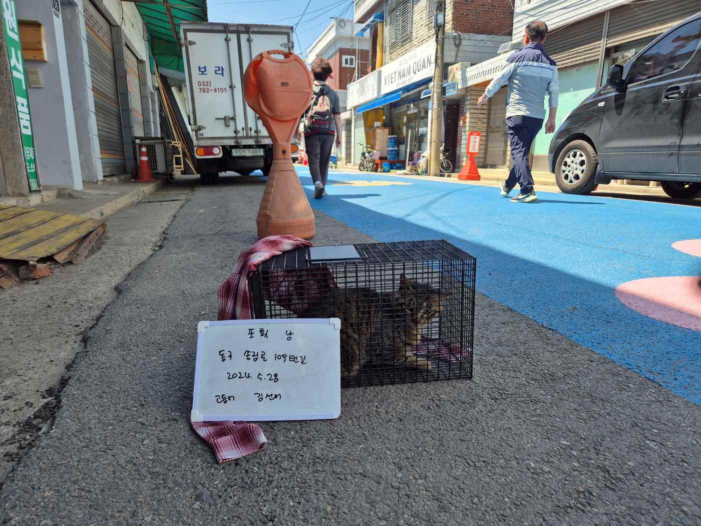 보호중동물사진 공고번호-인천-동구-2024-00098