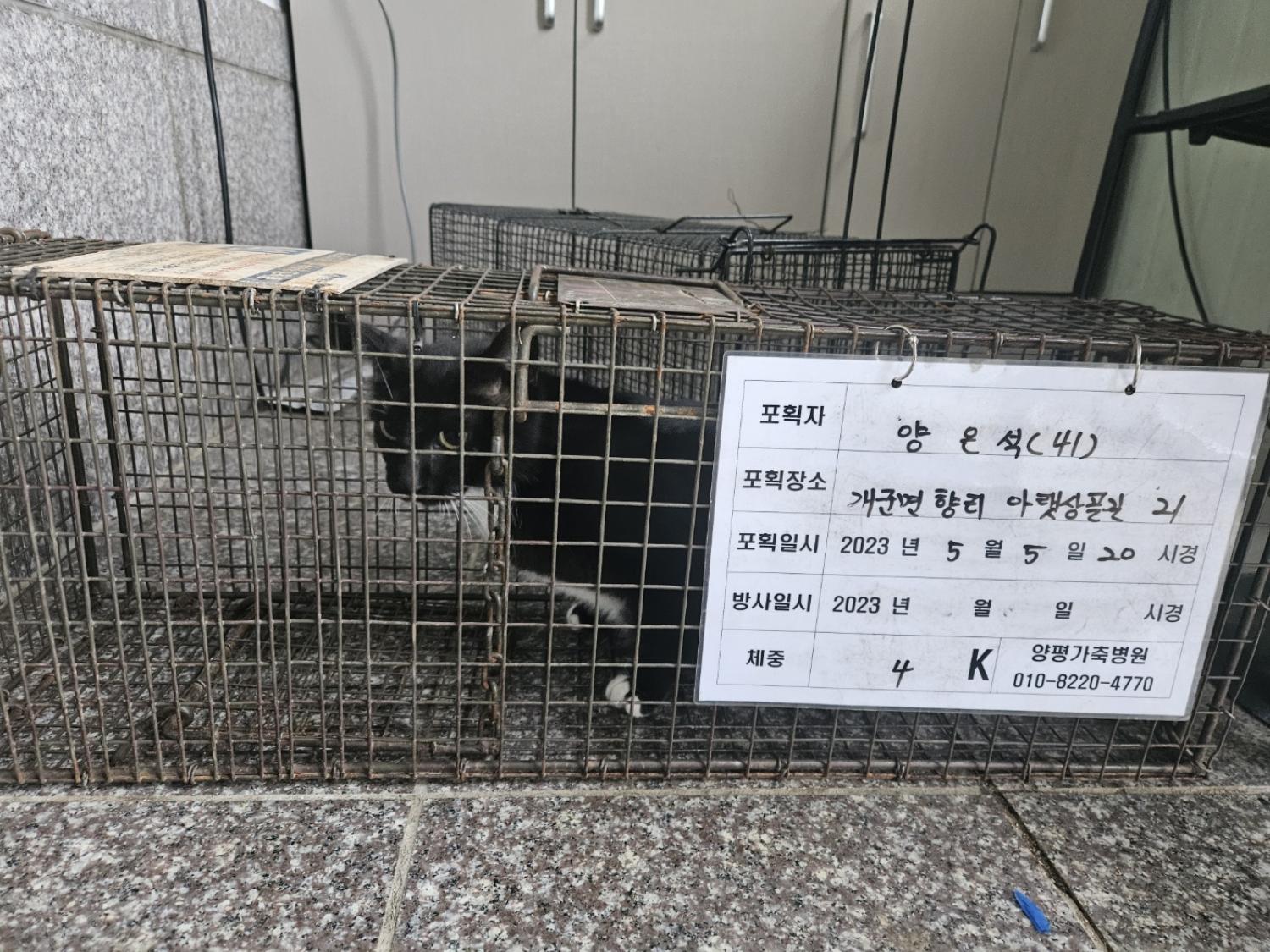 보호중동물사진 공고번호-경기-양평-2024-00577