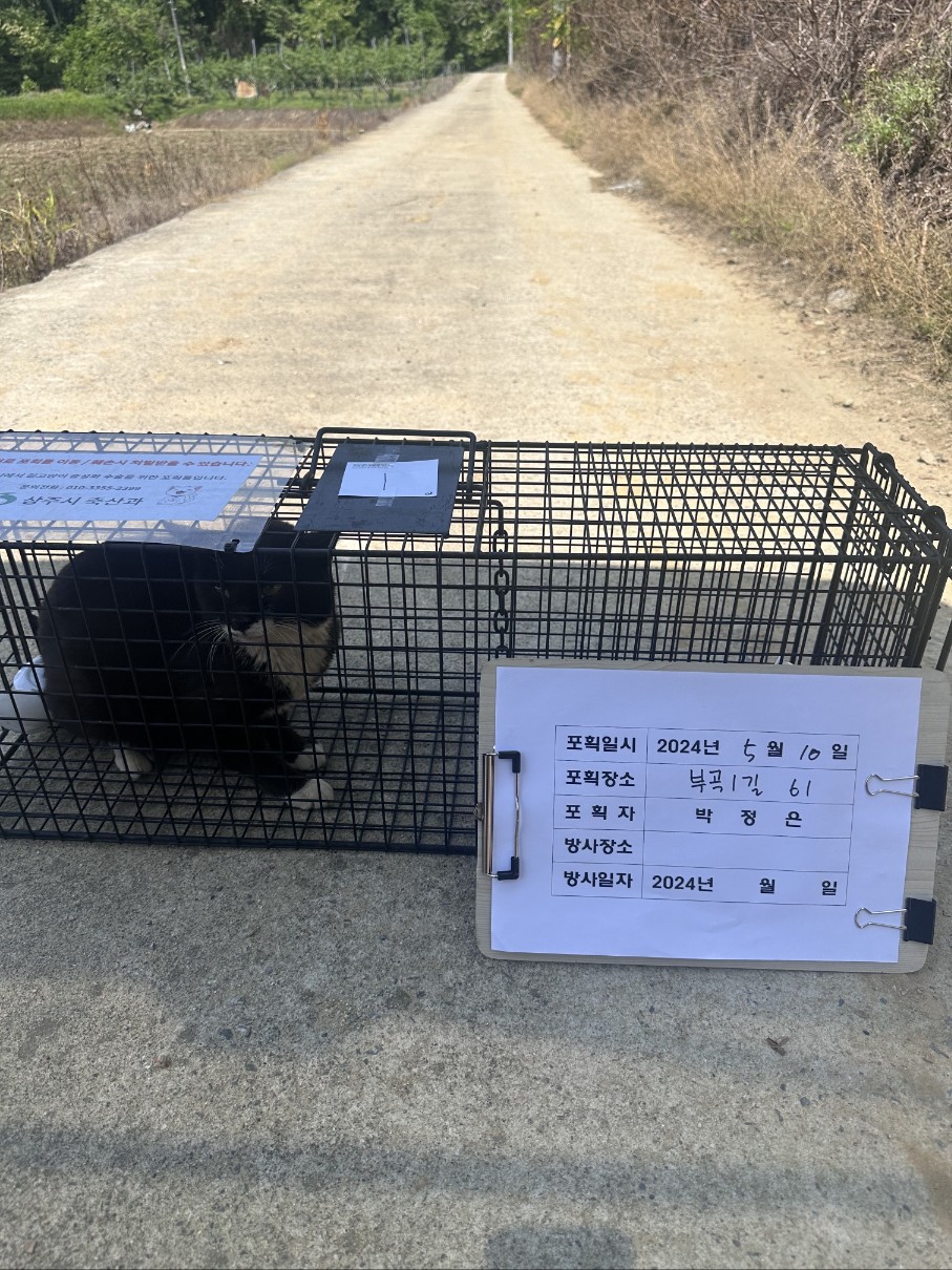 보호중동물사진 공고번호-경북-상주-2024-00506